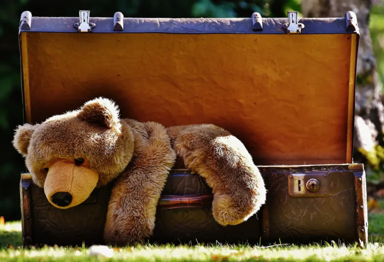 suitcase, antique, teddy-1650174.jpg