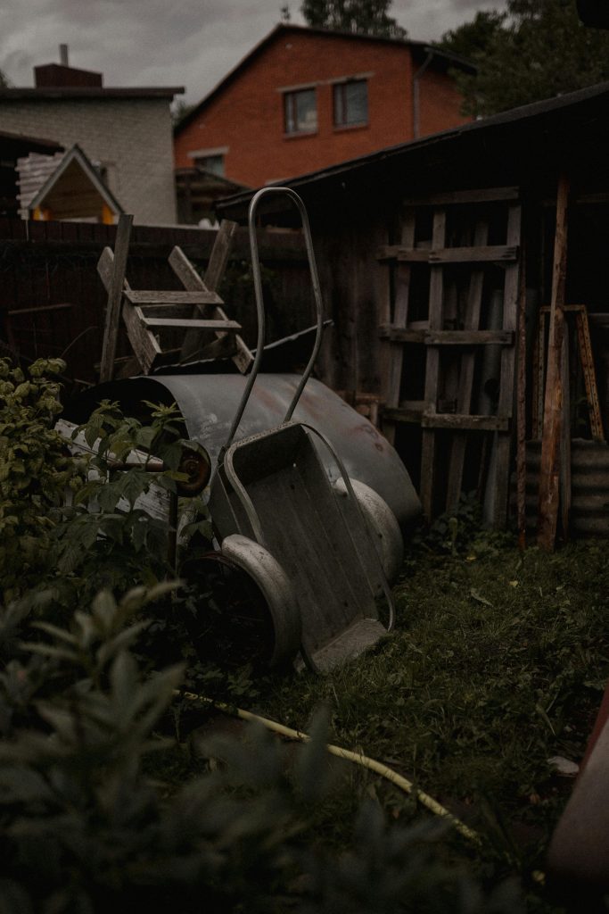 A cozy, rustic backyard scene featuring a metal wheelbarrow and wooden ladder against a garden shed.