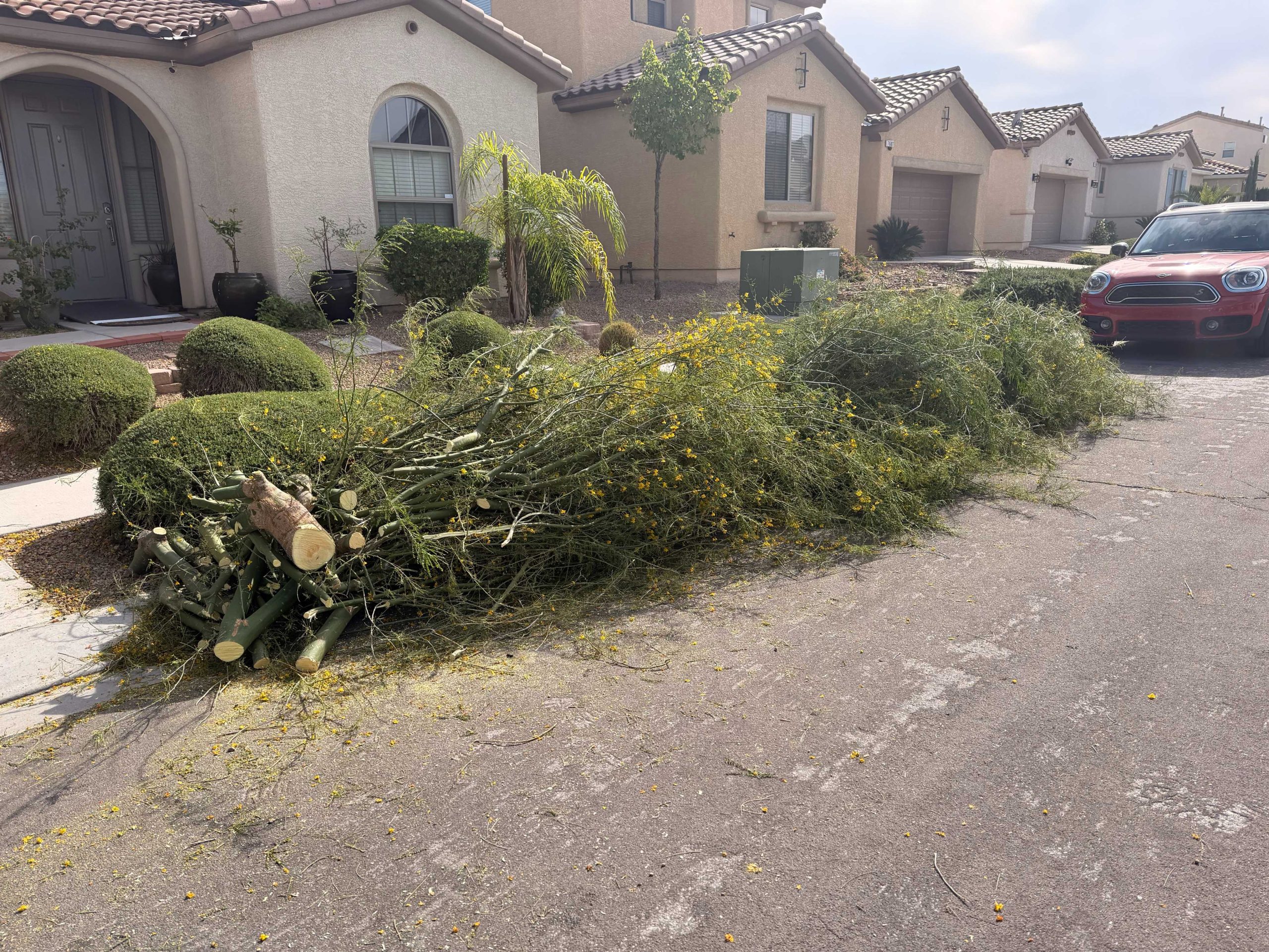 Yard waste removal Las Vegas
